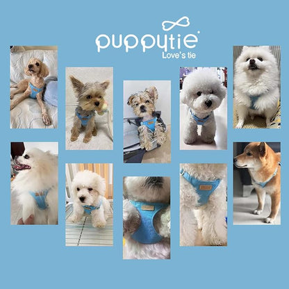 Puppytie No Pull xs Dog Harness with Multifunction Dog Leash,Soft Adjustable No Choke Escape Proof Pet Harness Vest,Ocean Blue,XS Puppytie