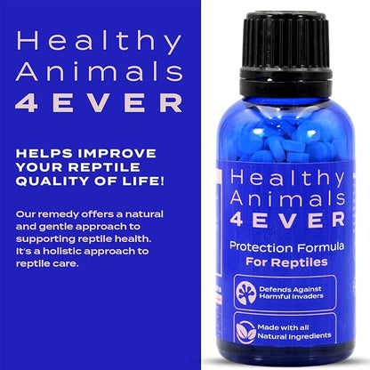 HealthyAnimals4Ever Reptile Protection Formula - Defends Against Internal & External Harmful Invaders, Supports Digestive Health & Vitality - Safe & Gentle Care - 300 Count HealthyAnimals4ever
