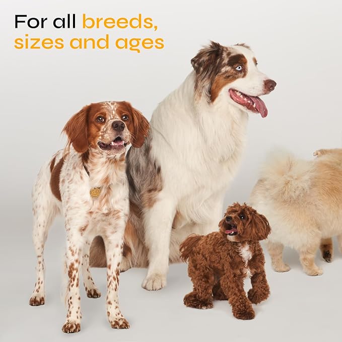 Flea and Tick Prevention for Dogs - Dog Flea Treatment Chews - Immune Support Flea and Tick Chewables for Dogs - Dog Flea & Tick Control Supplement - All Breeds & Ages - Vet Formulated - Soft Treats VETRICA