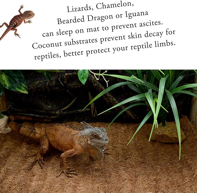 Reptile Carpet Natural Coconut Fiber, 36" x 18" Tortoise Carpet Mat for Pet Terrarium Liner, Reptile Bedding Supplies for Lizard, Snake, Chameleon, Turtle, Bearded Dragon (2 Pack) SISIPAILIFE