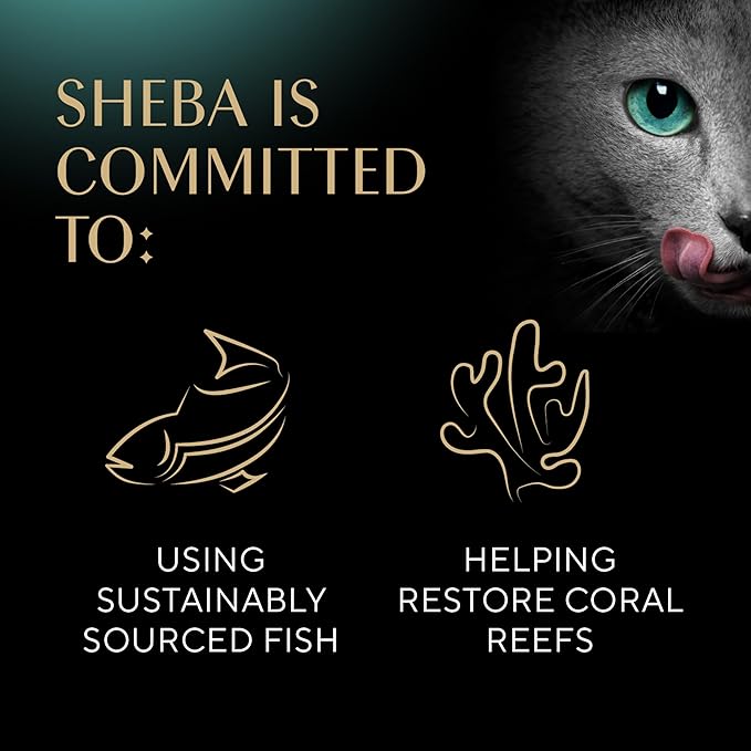 Sheba Perfect Portions Wet Cat Food Pate Savory Chicken, With Sustainable Salmon, and Roasted Turkey Entree Variety Pack, 2.6 oz., Twin-Pack Trays (18 Count, 36 Servings) (Pack of 2) - PAWPICO