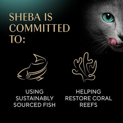 Sheba Perfect Portions Wet Cat Food Pate Savory Chicken, With Sustainable Salmon, and Roasted Turkey Entree Variety Pack, 2.6 oz., Twin-Pack Trays (18 Count, 36 Servings) (Pack of 2) - PAWPICO