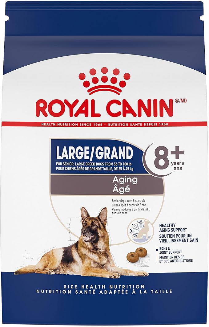 Royal Canin Large Aging 8+ Senior Dry Dog Food, 30 lb bag - PAWPICO