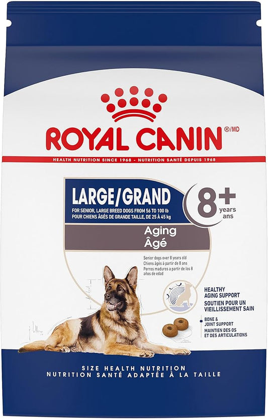 Royal Canin Large Aging 8+ Senior Dry Dog Food, 30 lb bag - PAWPICO