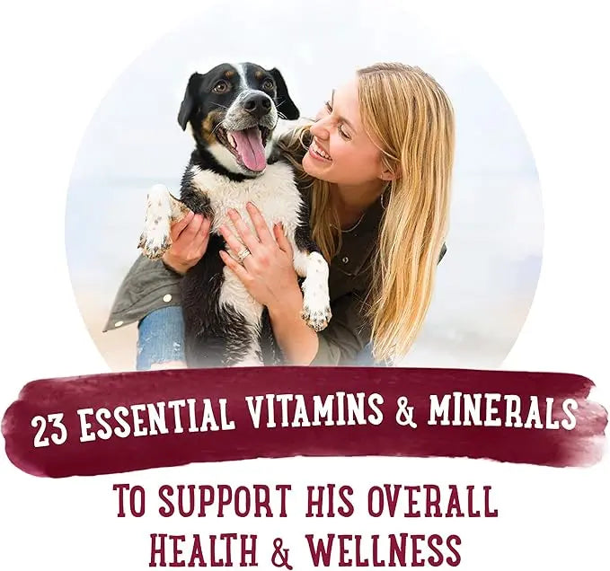 Purina Beneful Gravy Wet Dog Food, Prepared Meals Beef Stew - (8) 10 oz. Tubs - PAWPICO