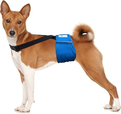 Paw Inspired Dog Diaper Suspenders with Velcro Fasteners | Stretchy Adjustable Suspenders for Female and Male Disposable and Washable Diapers | Fits Small, Medium and Large Size Pets (S/M, Black) - PAWPICO