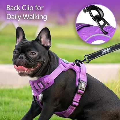 PoyPet No Pull Dog Harness, No Choke Reflective Dog Vest, Adjustable Pet Harnesses with Easy Control Padded Handle for Small Medium Large Dogs(Purple Matching Trim,S) PoyPet