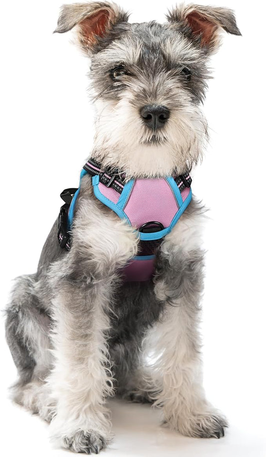 rabbitgoo Dog Harness No Pull with 2 Leash Clips, Adjustable Soft Padded, Reflective Oxford No Choke Pet Vest with Easy Control Handle for Puppy, Pink & Blue, XS rabbitgoo