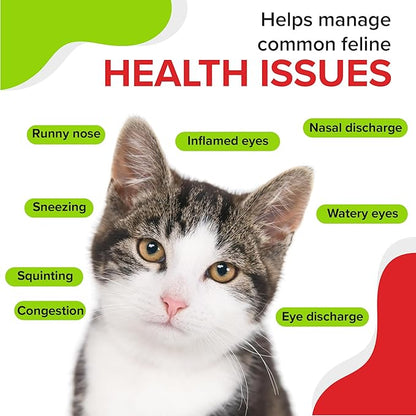 Trulysine Viralysine L-Lysine Gel Supplement for Cats, 5oz - Cats & Kittens of All Ages - Immune Health - Sneezing, Runny Nose, Squinting, Watery Eyes - Palatable Maple Flavor Pet+Health+Pharma