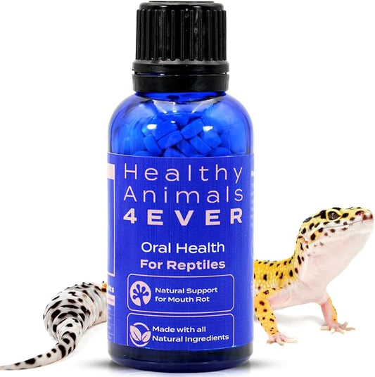 HealthyAnimals4Ever Reptile Oral Health - Natural Support for Mouth Rot, Enhanced Oral Hygiene & Long-Lasting Comfort - Gentle Homeopathic Formula - 300 Count HealthyAnimals4ever