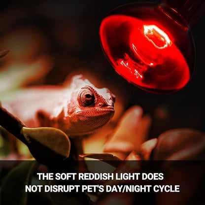REPTIZOO 75W Reptile Heat Lamp Bulb, 2PCS Day & Night Basking Spot Light Combo Pack Includes Infrared Heat Lamp and UVA Daylight Heating Lamp Basking Light REPTIZOO