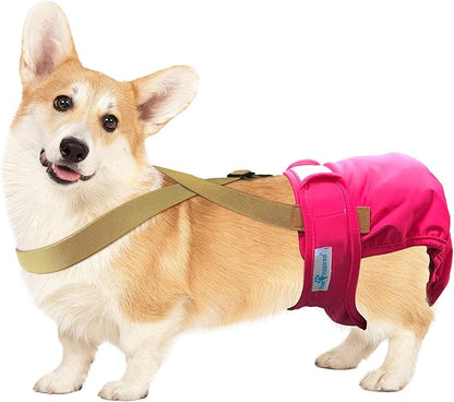 Paw Inspired Dog Diaper Suspenders with Velcro Fasteners | Stretchy Adjustable Suspenders for Female and Male Disposable and Washable Diapers | Fits Small, Medium and Large Size Pets (M/L, Brown) - PAWPICO
