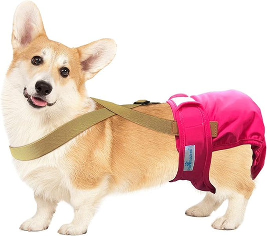 Paw Inspired Dog Diaper Suspenders with Velcro Fasteners | Stretchy Adjustable Suspenders for Female and Male Disposable and Washable Diapers | Fits Small, Medium and Large Size Pets (M/L, Brown) - PAWPICO