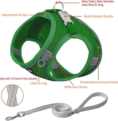 AIITLE Dog Harness, Spring No-Pull Cat Harness with a Leash, Adjustable Reflective Dog Vest, Cat Harness Escape Proof, Outdoor Walking, Camping for Extra Small Dogs and House Cats Green XXXS AIITLE-FORPETSBETTERLIFE