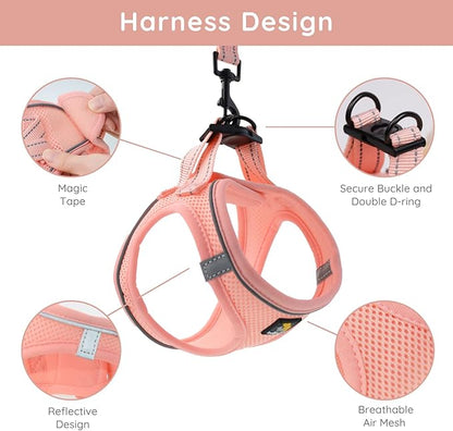BELLA & PAL Puppy Harness with Leash Set, Dog Harness for Small Dogs No Pull, Dog Leash for Small Dogs, Step in Harness for Extra Small Dogs, Pink Harness, XXS BELLAPAL