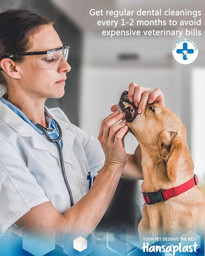 Hansaplast Plaque Remover for Teeth, Dog Teeth Cleaning, Dental Tools to Remove Tartar and Stains, Safe for Dogs & Cats, with Led Light & 5 Adjustable Modes(White) Hansaplast