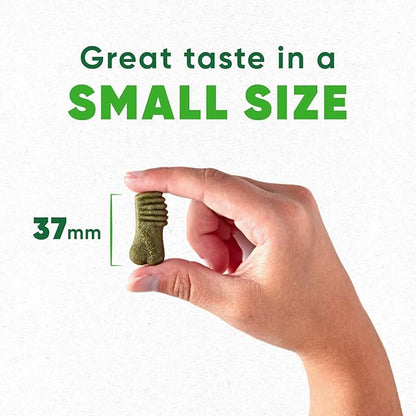 GREENIES ANYTIME BITES Dog Treats, Mint Flavor, 10.3 oz. bag - PAWPICO