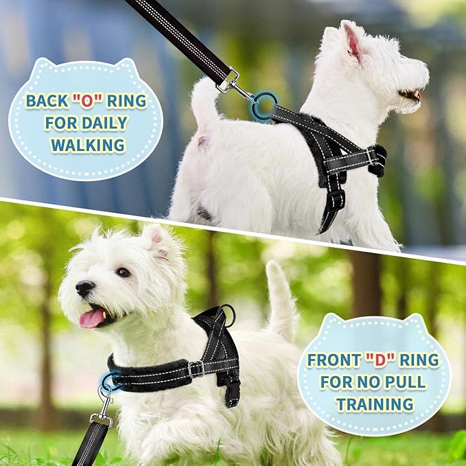 SlowTon No Pull Small Dog Harness and Leash Set, Puppy Soft Vest Harness Neck & Chest Adjustable, Reflective Lightweight Harness & Anti-Twist Pet Lead Combo for Small Medium Dogs (B- Front Clip,S) SlowTon