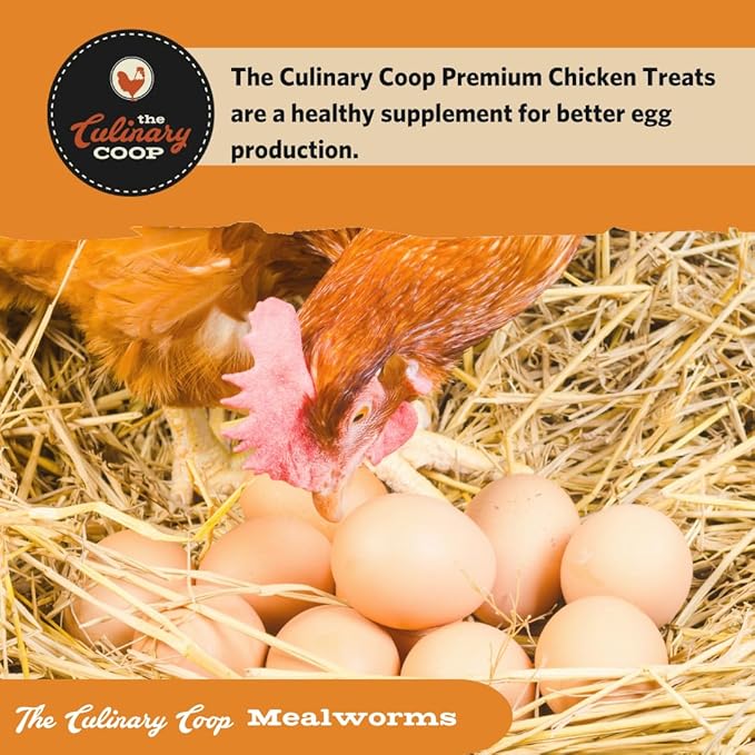 Fluker's Culinary Coop Premium Chicken Treats, Mealworms 3.5 oz, High Protein Worm, Nutritious Treat Flukers