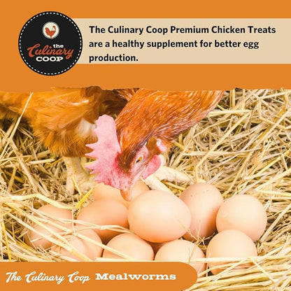 Fluker's Culinary Coop Premium Chicken Treats, Mealworms 3.5 oz, High Protein Worm, Nutritious Treat Flukers