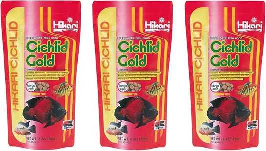 (3 Pack) Hikari Cichlid Gold Floating Pellets Large, 8.8-Ounce Hikari