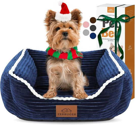 Cat Dog Bed for Pets, Rectangle Pet Bed Gift for Puppy and Kitten, Machine Washable Calming Fluffy Pet Couch Sofa for Indoor Outdoor, Portable Soft Cat Bed with Non-Slip Bottom (Small, Blue) - PAWPICO