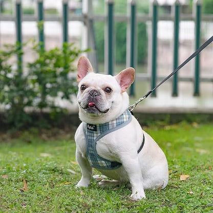 PUPTECK Soft Mesh Dog Harness and Leash Set Pet Puppy Cat Comfort Padded Vest No Pull Harnesses, Sky Blue, XS PUPTECK
