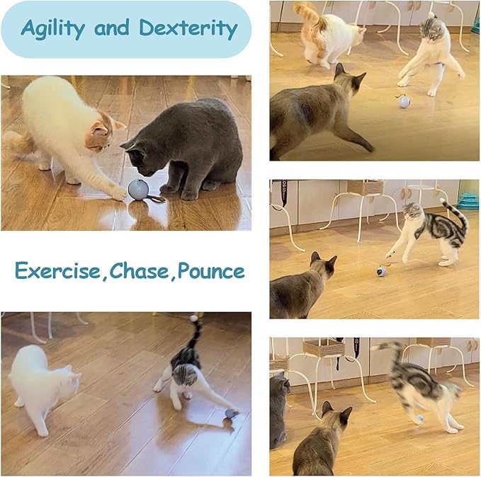Migipaws Interactive Cat Ball Toy Set, Fun Tracker, Automatic Rolling Chase Ball with Fluffy Tail, A Small Mice, Rechargeable（Orange） - PAWPICO