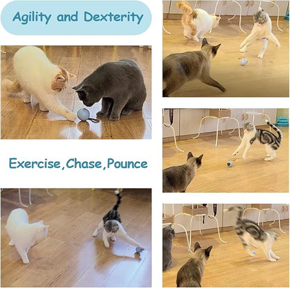 Migipaws Interactive Cat Ball Toy Set, Fun Tracker, Automatic Rolling Chase Ball with Fluffy Tail, A Small Mice, Rechargeable（Orange） - PAWPICO