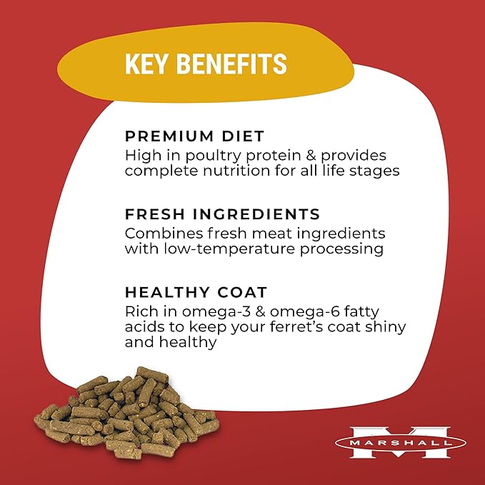 Marshall Pet Products Natural Complete Nutrition Premium Ferret Diet Food with Real Chicken Protein, Highly Digestible, 7 lbs Marshall+Pet+Products