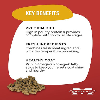 Marshall Pet Products Natural Complete Nutrition Premium Ferret Diet Food with Real Chicken Protein, Highly Digestible, 7 lbs Marshall+Pet+Products