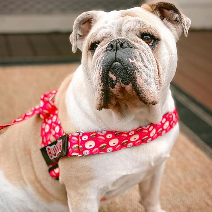 BULLHUG Harness – Made for Larger Chested Dogs Like English Bulldogs, French Bulldogs, Pugs & More. Stops Dogs from Pulling & Choking on Walks (Donuts, Medium) BULLHUG