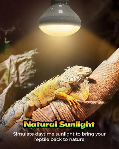 Reptile Heat Lamp, 2 Pack 100W Heat Lamp Bulbs for Reptiles, Amphibians Basking Heat Lamp Bulbs, UVA Daylight Basking Light for Reptiles, Bearded Dragon, Lizard, Turtle, Chicken Haceryc