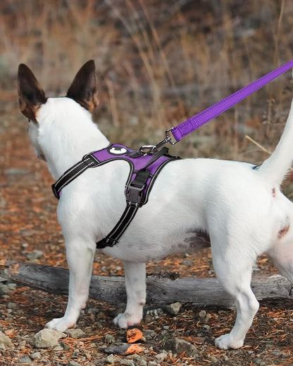 Joytale Double-Sided Reflective Dog Leash, 6 FT/5 FT/4 FT, Padded Handle Nylon Heavy Duty Leashes for Medium & Large Dogs Walking, Purple, 4FT Joytale