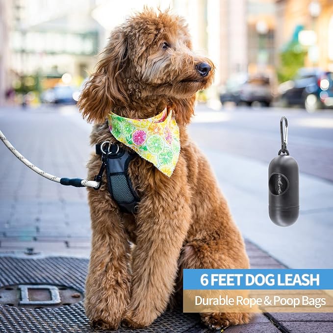 BAAPET 2/4/5/6 FT Dog Leash with Comfortable Padded Handle and Highly Reflective Threads for Small Medium and Large Dogs (6FT-1/2'', Silver) BAAPET