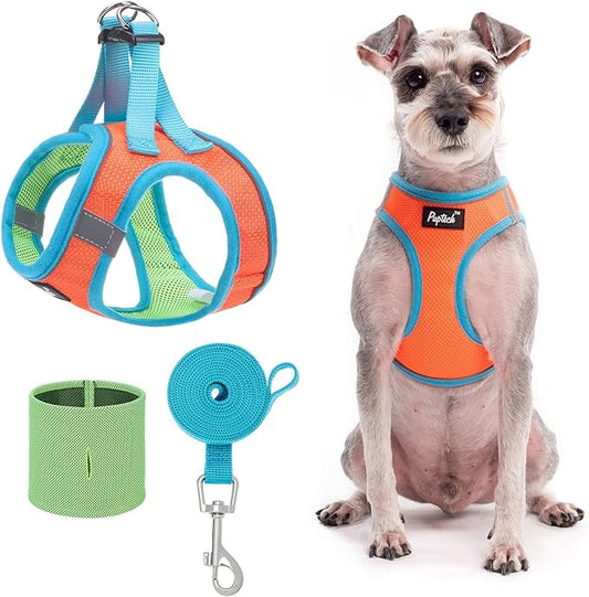 PUPTECK Adjustable Dog Harness Collar and Leash Set Step in No Pull Pet Harness for Small Medium Dogs Puppy and Cats Outdoor Walking Running, Soft Mesh Padded Reflective Vest Harnesses, OrangeRed L PUPTECK