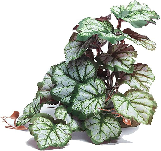 Woyrise Reptile Artificial Plants for Terrarium Decor, Amphibian Habitat Hideout Bearded Dragon Tank Decorations fit Crested Gecko Leopard Lizard Chameleon Ball Python Snake Frog - Saxifrage Woyrise
