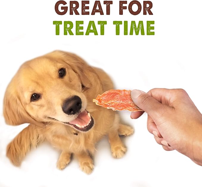 Waggin' Train Limited Ingredient, Grain Free Dog Treat, Chicken Jerky Tenders - 11 oz. Pouch (Pack of 2) - PAWPICO