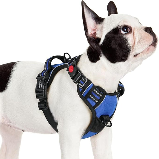 rabbitgoo Dog Harness Small Sized, No Pull Pet Harness with 3 Buckles, Adjustable Soft Padded Pooch Vest with Instant Control Handle, Easy Walking Reflective Pet Vest for Small Dogs, Blue, S rabbitgoo