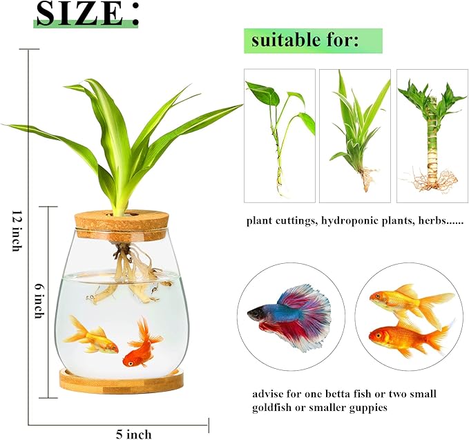 Desktop Fish Bowl Clear Glass Small Fish Tank with Wood Lid and Bamboo Stand for Betta Fish Plants Terrarium Home Office Decoration Gifts CUSNESTAL
