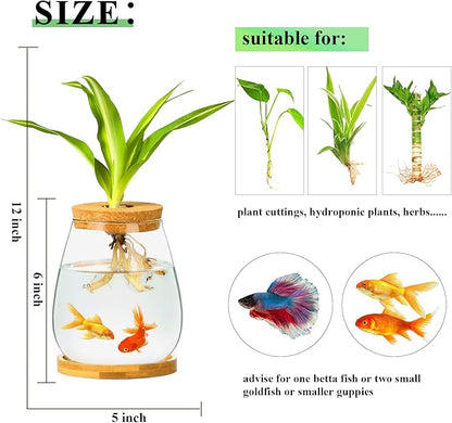 Desktop Fish Bowl Clear Glass Small Fish Tank with Wood Lid and Bamboo Stand for Betta Fish Plants Terrarium Home Office Decoration Gifts CUSNESTAL