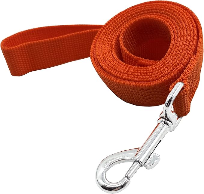 Nylon Dog Training Leash, Traction Rope, 4/5/6 Feet Long, 3/4 Inch 1 Inch Wide, for Small and Medium Dogs (1'' x 4 FT, Orange) TAIDA