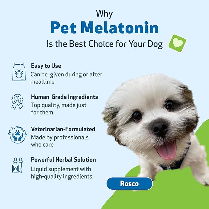 Pet Wellbeing Pet Melatonin for Dogs - Supports Adrenal Health, Cortisol Balance, Helps Maintain Normal Sleep Patterns - Veterinarian-Formulated Liquid Supplement 2 fl oz (59 ml) PetWellbeing