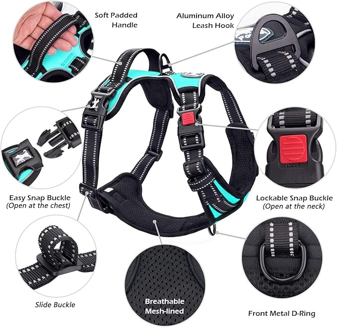 PoyPet No Pull Dog Harness, No Choke Front Lead Dog Reflective Harness, Adjustable Soft Padded Pet Vest with Easy Control Handle for Small to Large Dogs(Mint Blue,XS) PoyPet