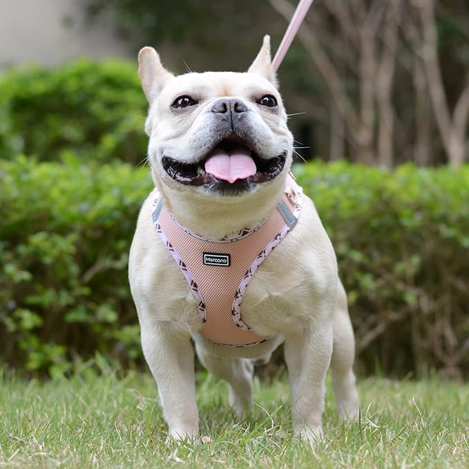 Mercano Soft Mesh Dog Harness and Leash Set, No-Chock Step-in Reflective Breathable Lightweight Easy Walk Vest Harnesses with Safety Buckle for Small Medium Dogs, Cats (Champagne, XXS) PAWPICO
