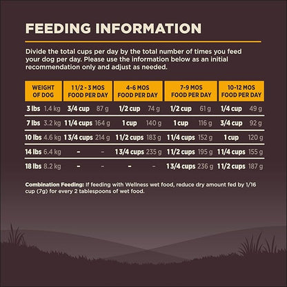 Wellness Natural Pet Food CORE Grain-Free High-Protein Small Breed Dry Dog Food, Natural Ingredients, Made in USA with Real Meat (Puppy, Turkey, 4-Pound Bag) - PAWPICO