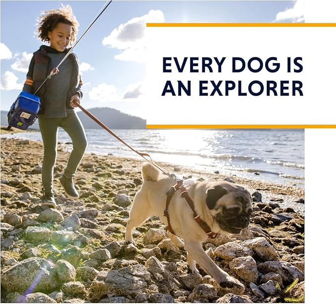 Ruffwear, Front Range Dog Harness, Reflective and Padded Harness for Training and Everyday, Purple Sage, XX-Small RuffwearInc