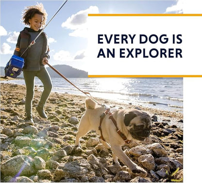 Ruffwear, Front Range Dog Harness, Reflective and Padded Harness for Training and Everyday, Purple Sage, XX-Small RuffwearInc