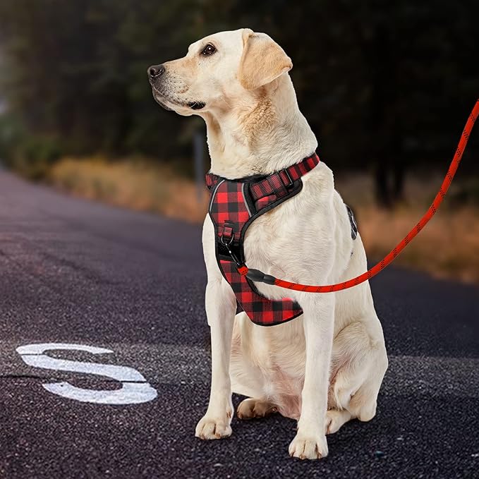 IVY&LANE No Pull Dog Harness with Leash Set, Reflective No Choke Pet Vest,Adjustable Oxford Dog Vest Harness with Easy Control Handle for Medium Lagre Dogs (Checkered Red,M) IVYLANE