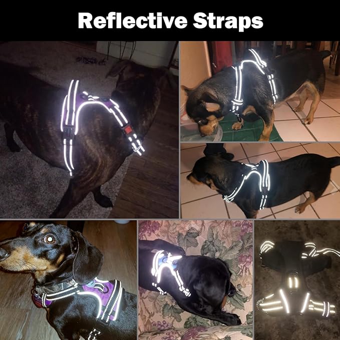 PHOEPET Reflective Dog Harness Large Breed Adjustable No Pull Vest with Handle 2 Metal Rings 3 Buckles [Easy to Put on & Take Off](L, Blue) - PAWPICO